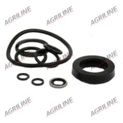 Cylinder Ram Seal Kit suitable for Massey Ferguson -  1810437M91