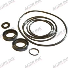 Power Steering Pump Seal Kit - (Later Plessey Pump) suitable for Massey Ferguson -  1810509M91  1810618M92