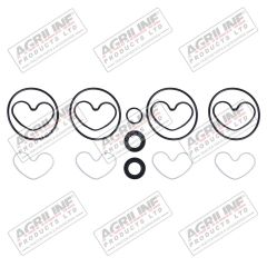 Hydraulc Pump Seal Kit - Sunstrand / Turolla Pump suitable for Landini -  