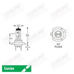 Bulb 12V 55W H7 PX26D- Single