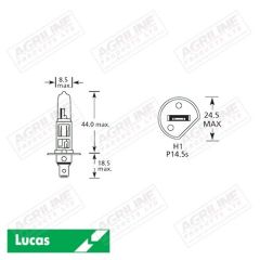 Bulb 24V 70W H1 P14.5S- Single
