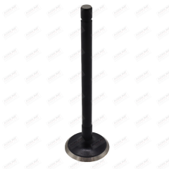 Exhaust Valve - 4673608 suitable for Fiat - 4618867 4673608 04673608